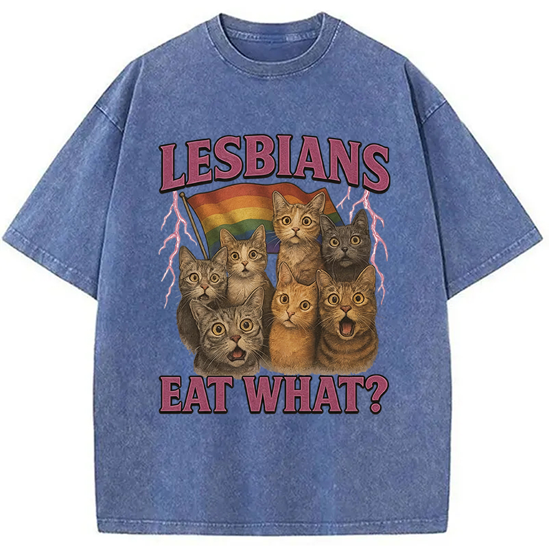Modecanvas Lesbians Eat What?! Funny Lesbian Pride Meme DTG Printing Washed T-Shirt