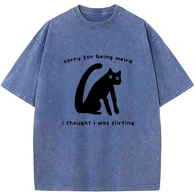 Modecanvas Sorry For Being Weird Washed T-Shirt
