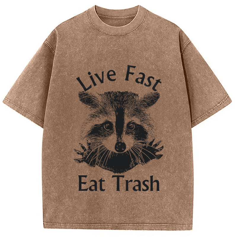 Modecanvas Trash Panda Raccoon DTG Printing Washed T-Shirt