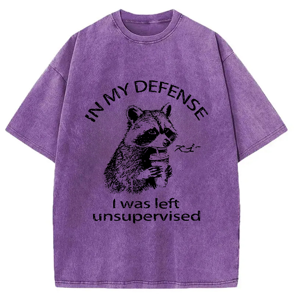 Modecanvas Left Unsupervised Raccoon Washed T-Shirt