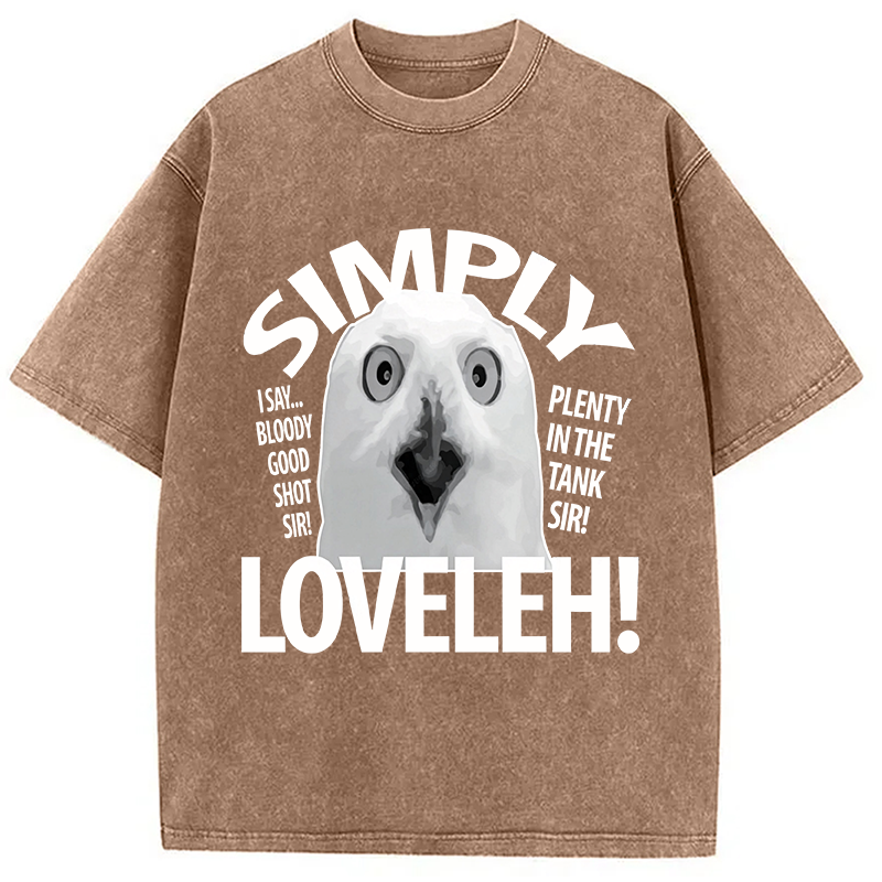 Modecanvas Simply Loveleh Owl DTG Printing Washed T-Shirt