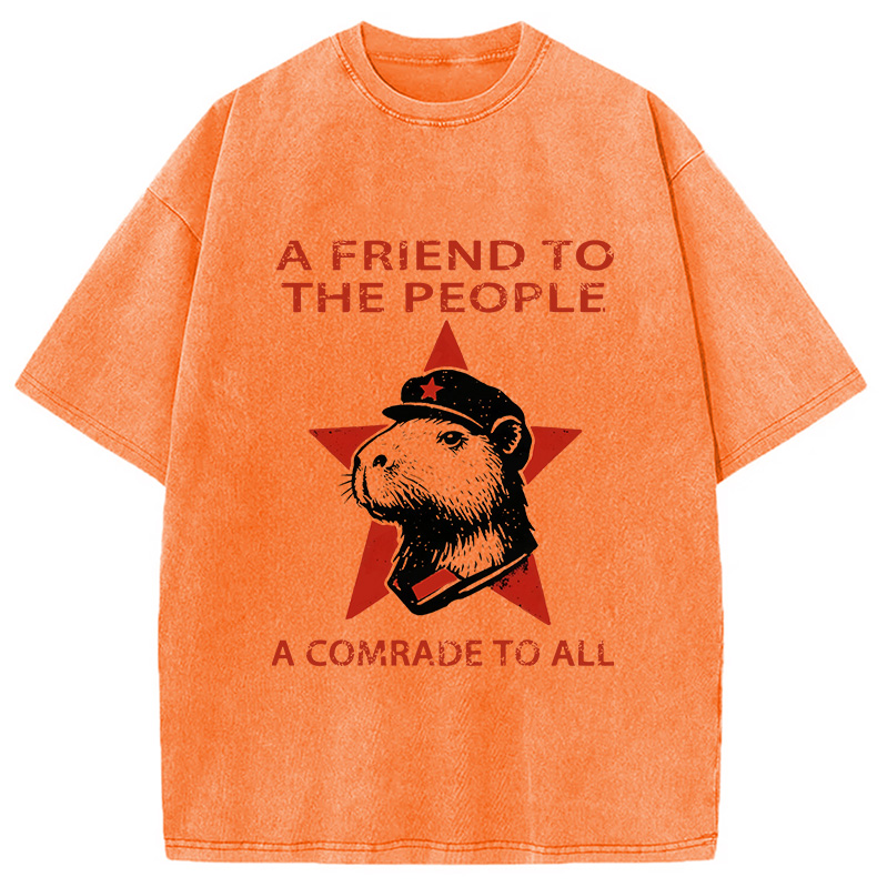 Modecanvas Capibalism Funny Washed T-Shirt