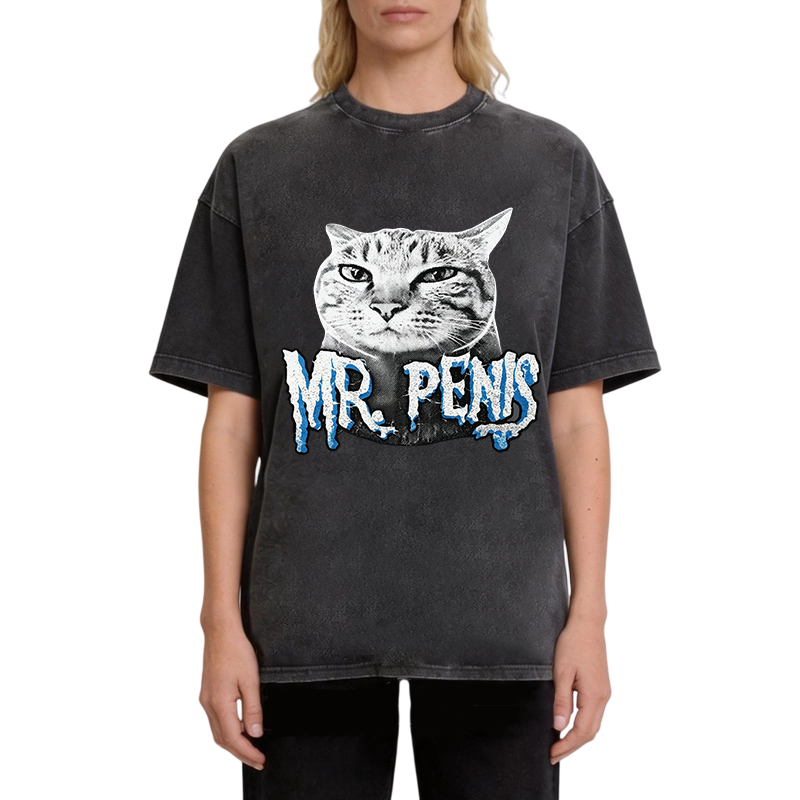 Modecanvas Mr Pen is Cat DTG Printing Washed T-Shirt