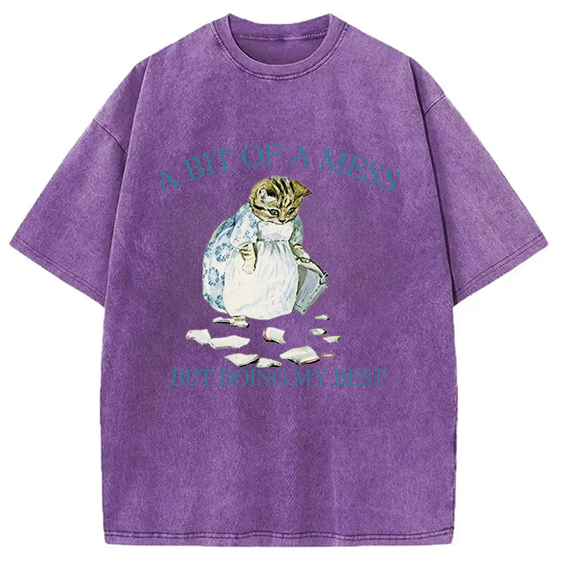 Modecanvas A Bit Of Mess But Doing My Best Cat DTG Printing Washed T-Shirt
