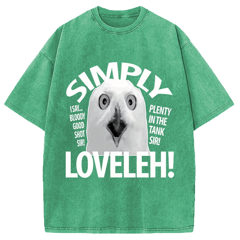 Modecanvas Simply Loveleh Owl DTG Printing Washed T-Shirt