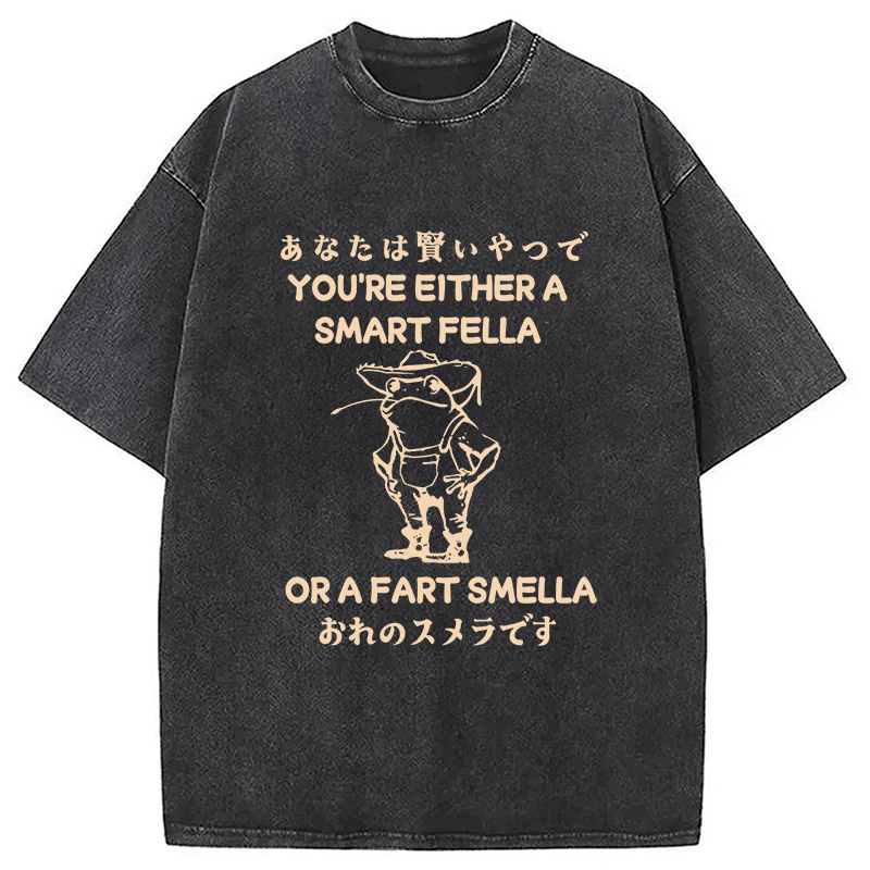 Modecanvas Are You A Smart Fella Or Fart Smella Washed T-Shirt-modecanvas