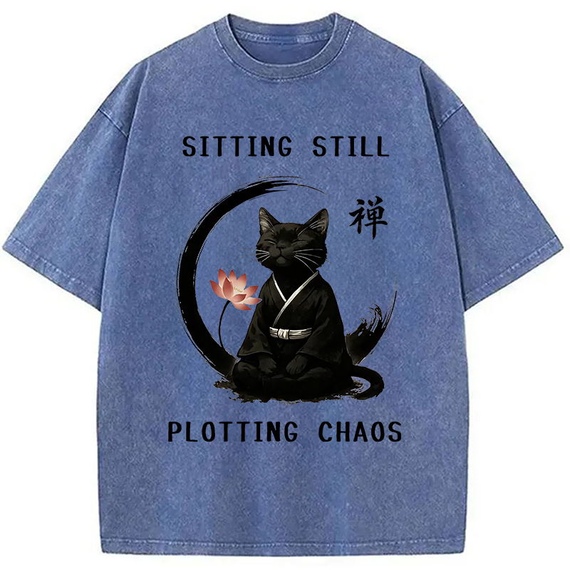Modecanvas Sitting Calming Zen Cat Washed T-Shirt