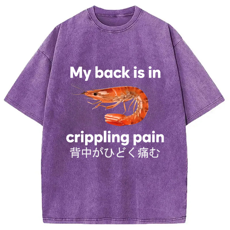 Modecanvas My Back Is in Crippling Pain Washed T-Shirt-modecanvas