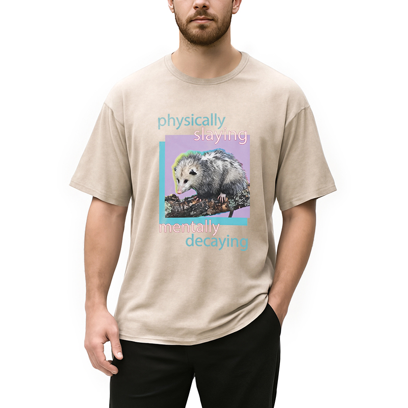 Modecanvas Physically Slaying Mentally Decaying DTG Printing Washed T-Shirt