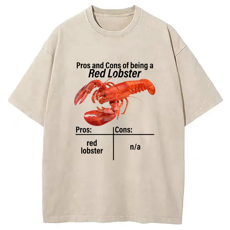 Modecanvas Pros And Cons Washed T-Shirt