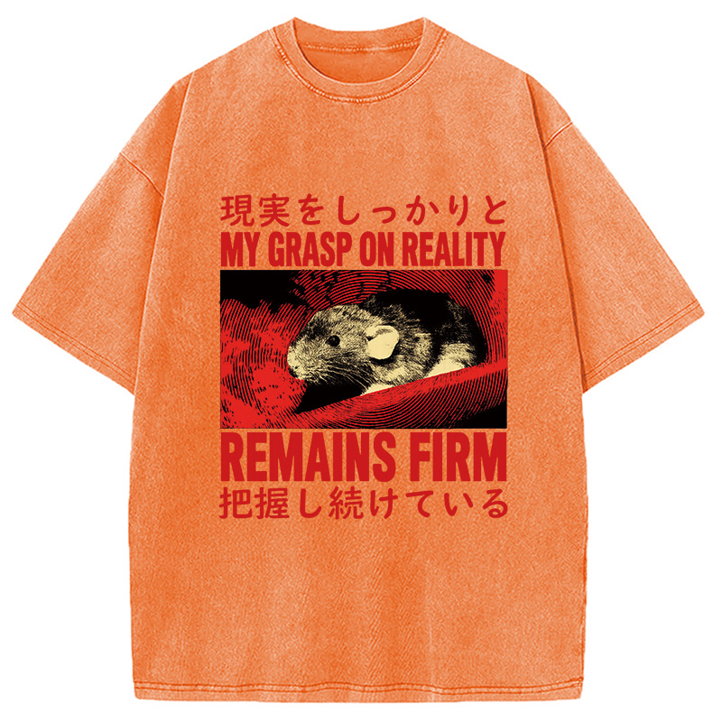 Modecanvas Grasp on Reality Rat Washed T-Shirt