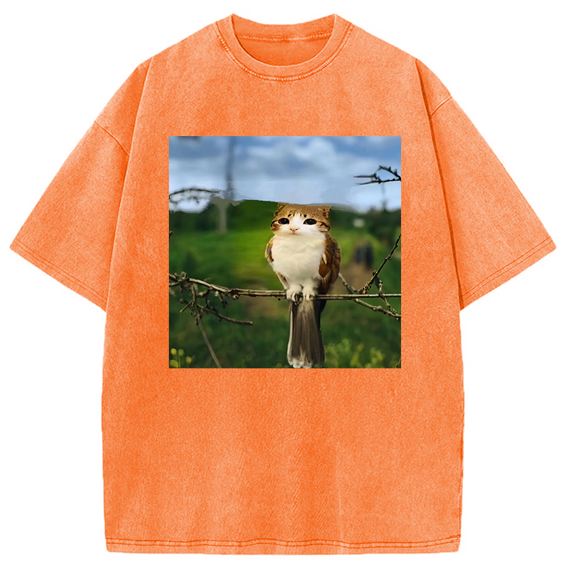 Modecanvas Funny Cat Owl Meme DTG Printing Washed T-Shirt