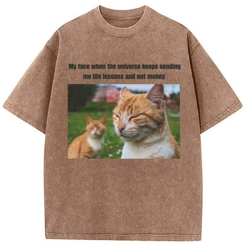 Modecanvas Grumpy Cat Meme DTG Printing Washed T-Shirt