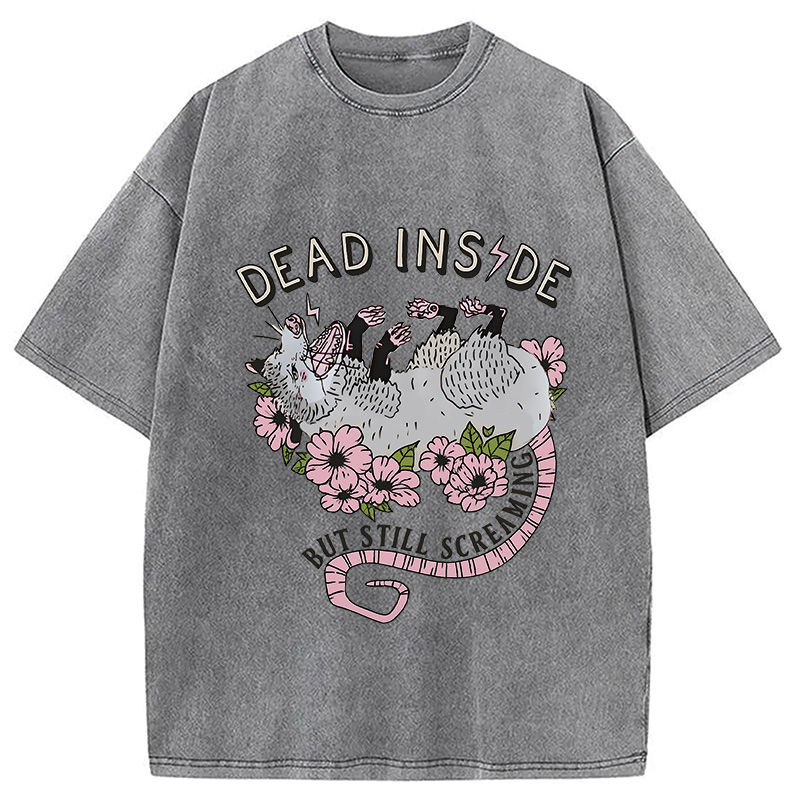 Modecanvas Dead Inside Washed T-Shirt