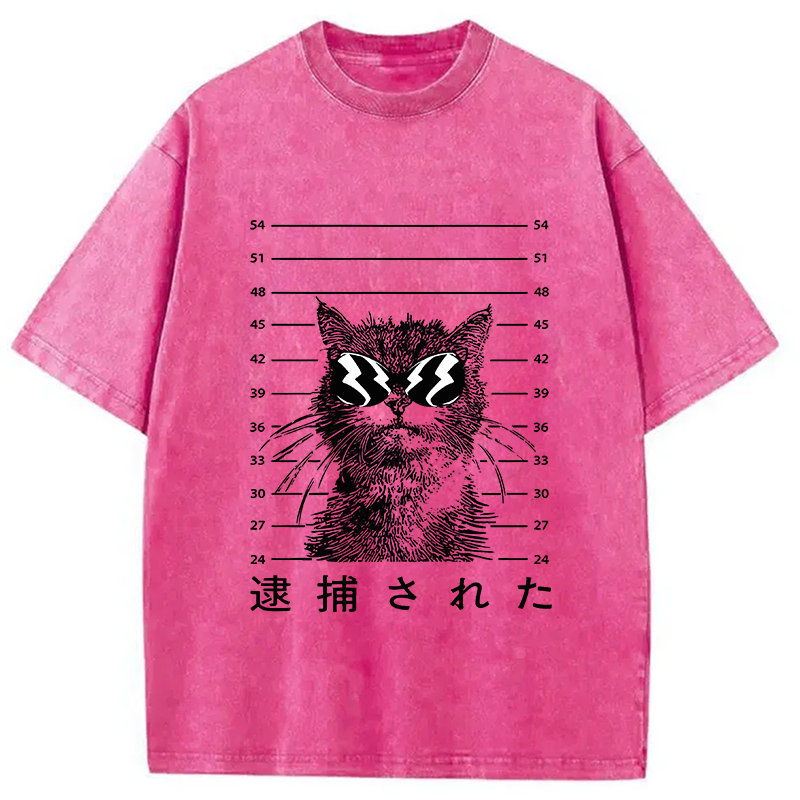 Modecanvas Cat Was Arrested  Washed T-Shirt