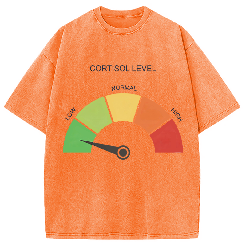 Modecanvas Cortisol Level Meme DTG Printing Washed T-Shirt