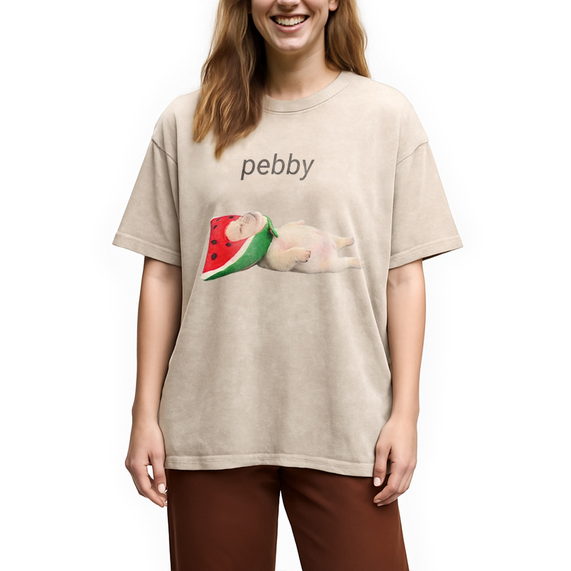 Modecanvas Funny Pibble Dog Meme DTG Printing Washed T-Shirt