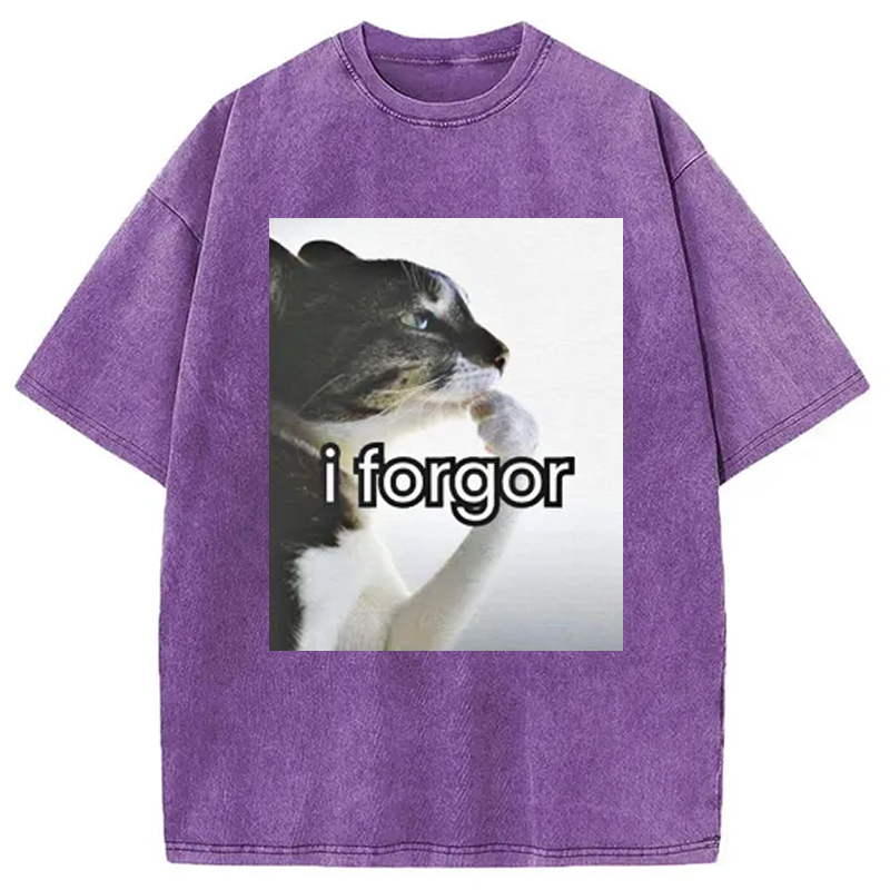 Modecanvas I Forgor Cat Meme Washed T-Shirt