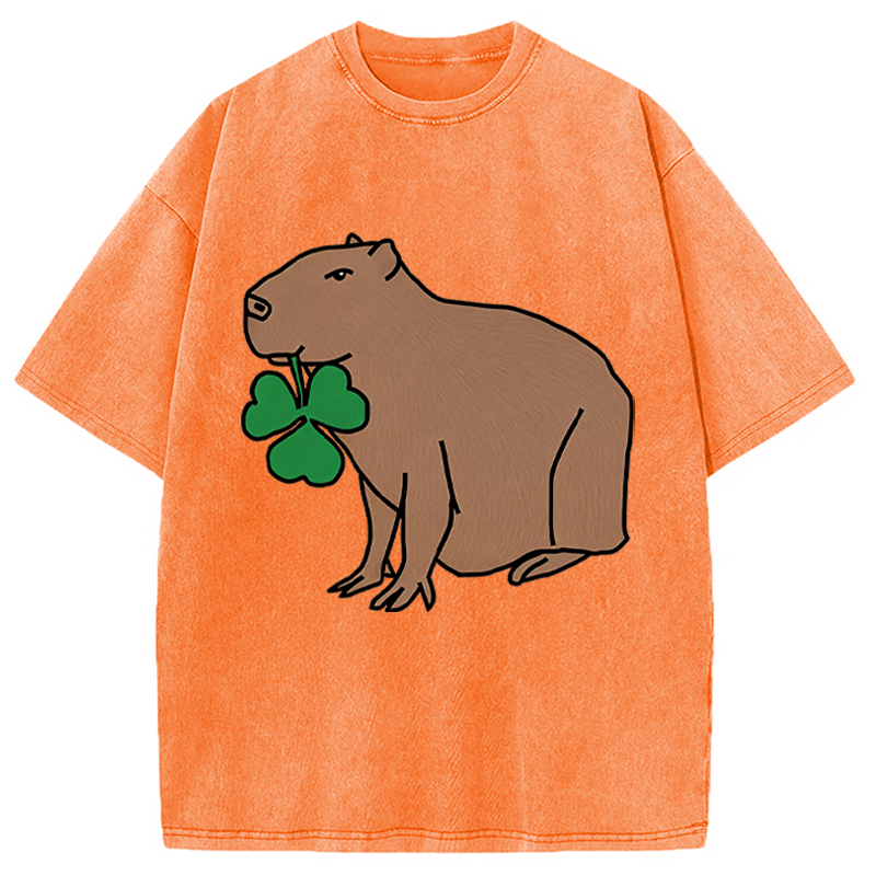 Modecanvas Cute Capybara with Shamrock DTG Printing Washed T-Shirt