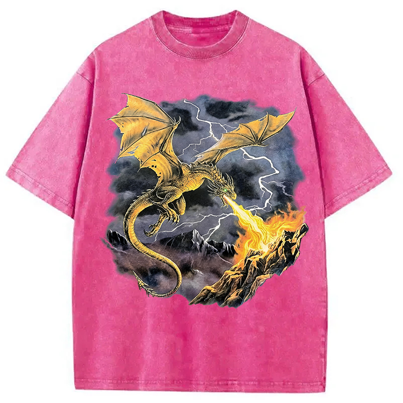Modecanvas Vintage Dragon DTG Printing Washed T-Shirt