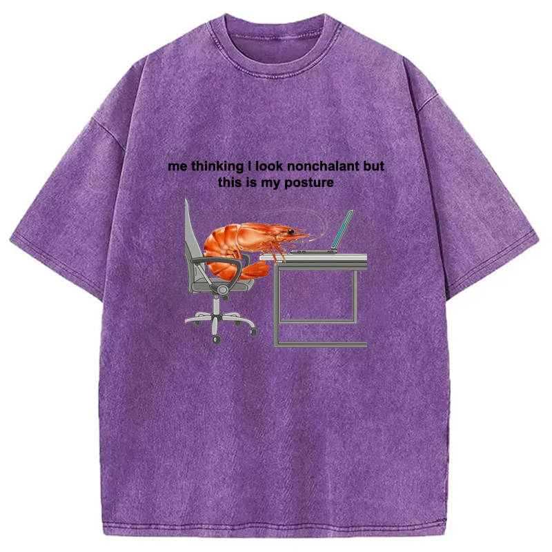 Modecanvas This Is My Posture Washed T-Shirt