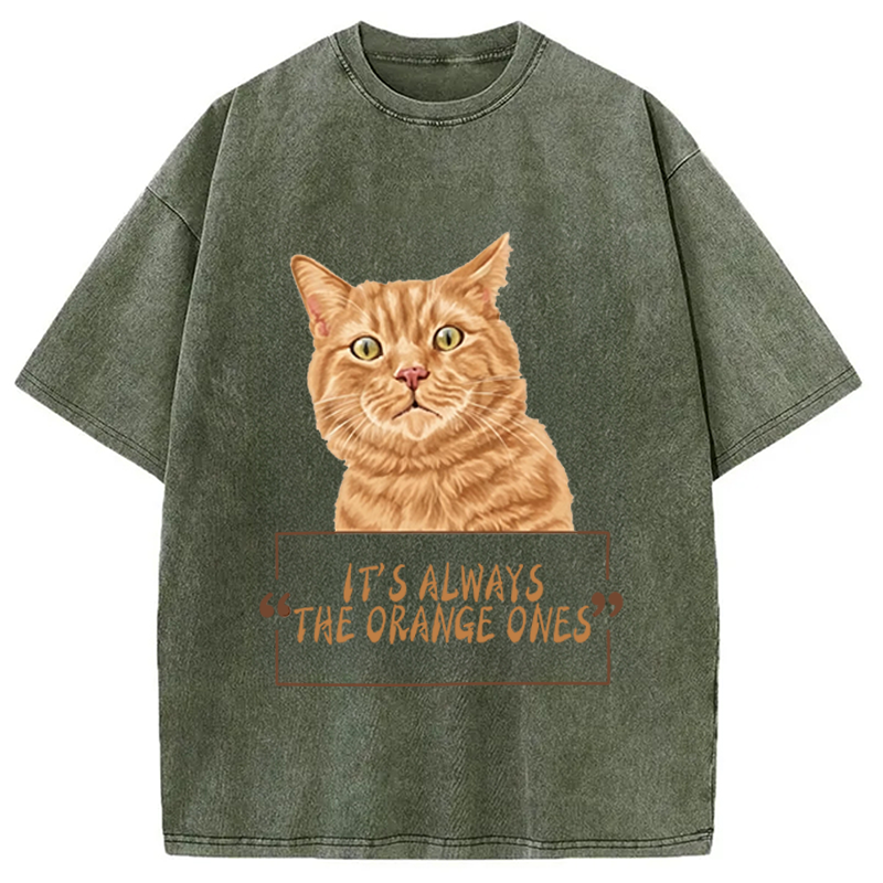 Modecanvas It Always Cat Meme DTG Printing Washed T-Shirt