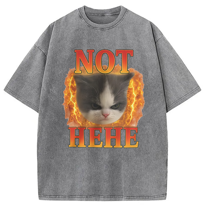 Modecanvas NOT HEHE Funny Cat Meme Washed T-Shirt