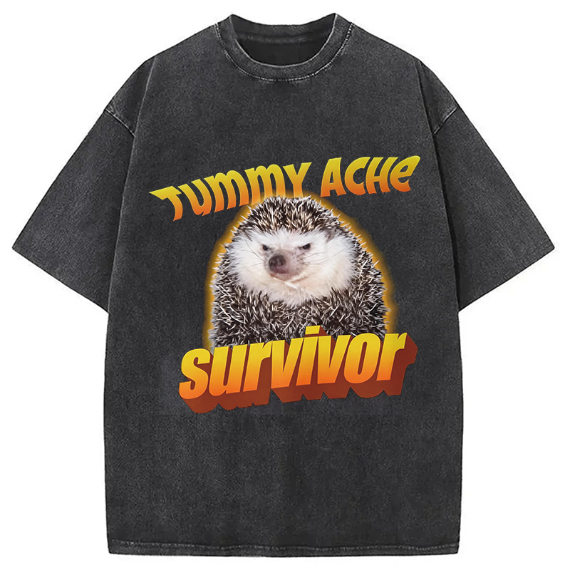 Modecanvas Tummy Ache Survivor Meme Washed T-Shirt-modecanvas