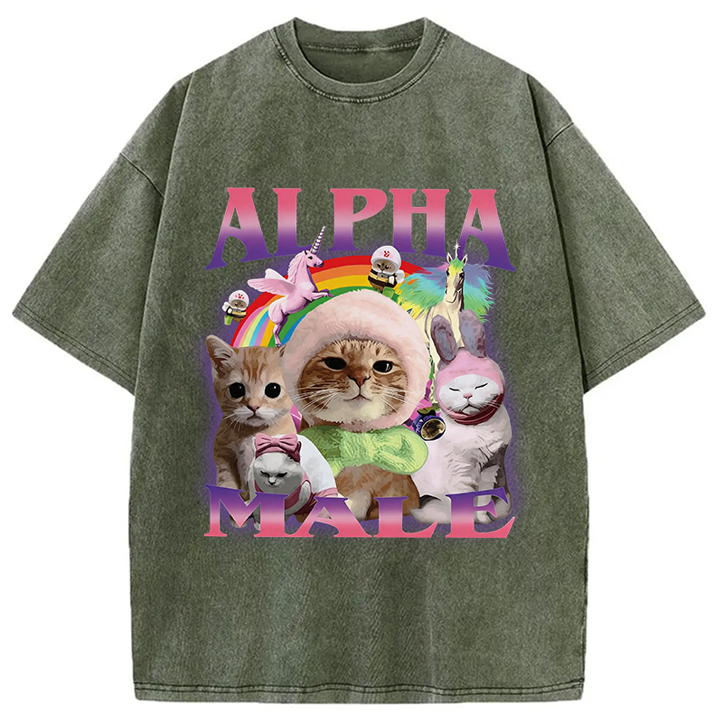 Modecanvas Alpha Male Funny Cat Meme DTG Printing Washed T-Shirt