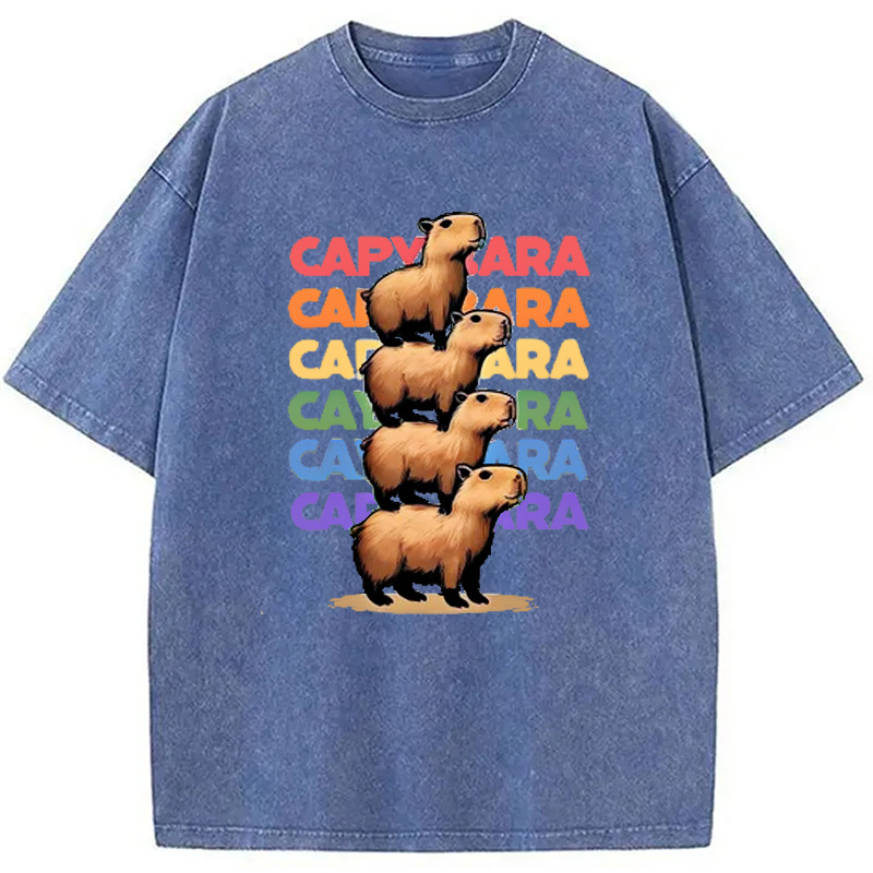Modecanvas Funny Capybara Washed T-Shirt