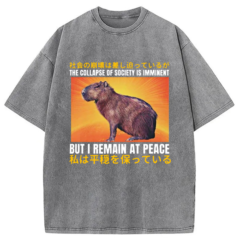Modecanvas The Collapse of Society is Imminent Washed T-Shirt