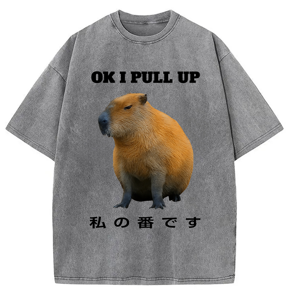 Modecanvas Ok I Pull Up Funny Capybara Washed T-Shirt