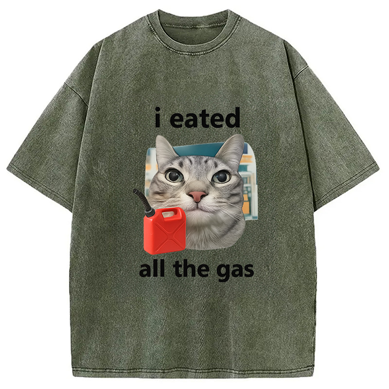 Modecanvas I Eated All The Gas Cat Funny Washed T-Shirt-modecanvas