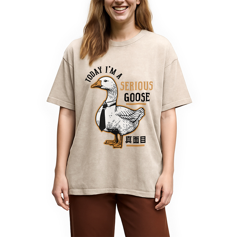 Modecanvas Japanese Serious Goose Washed T-Shirt