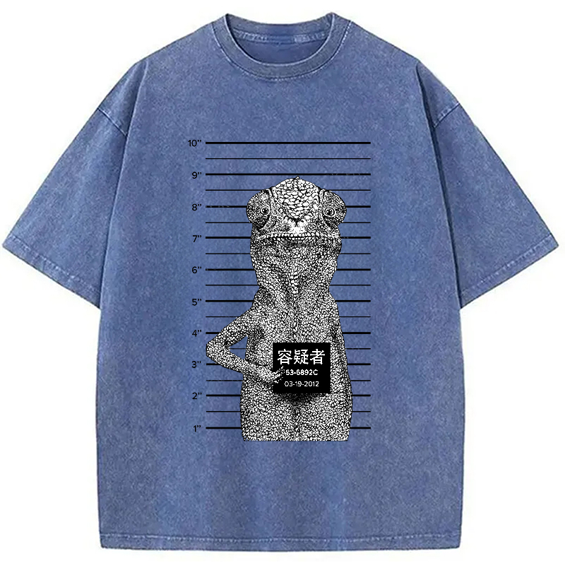 Modecanvas Suspect Lizard Washed T-Shirt