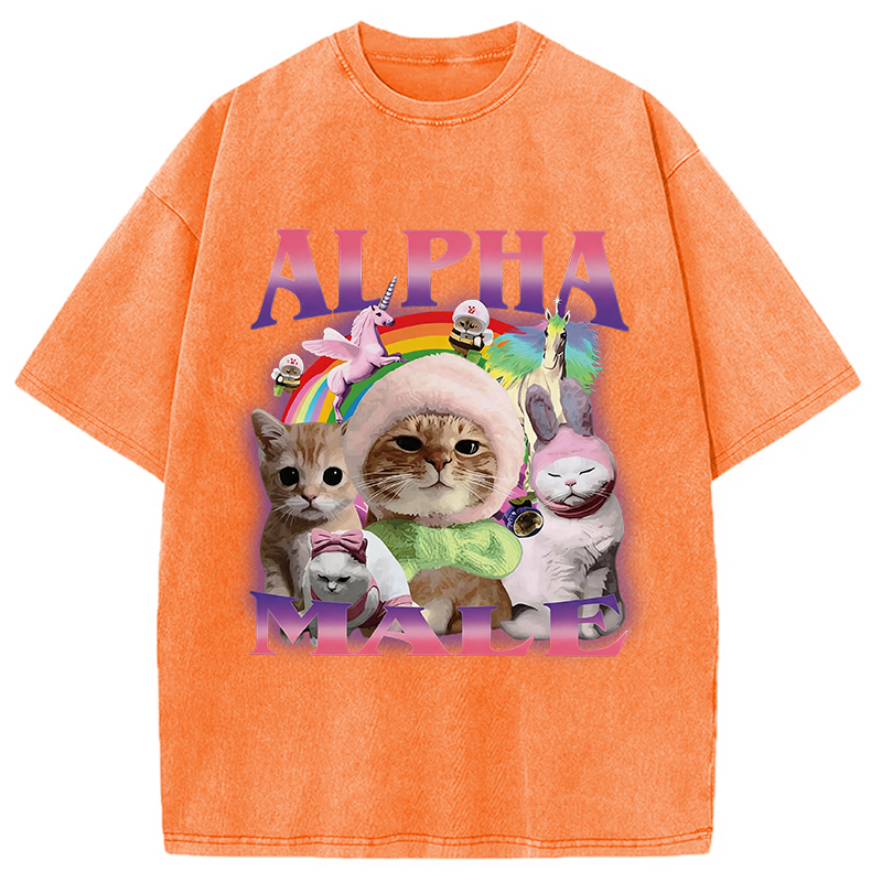 Modecanvas Alpha Male Funny Cat Meme DTG Printing Washed T-Shirt