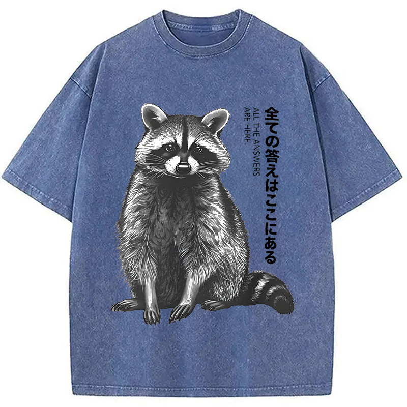 Modecanvas Funny Kawaii Raccoon Washed T-Shirt