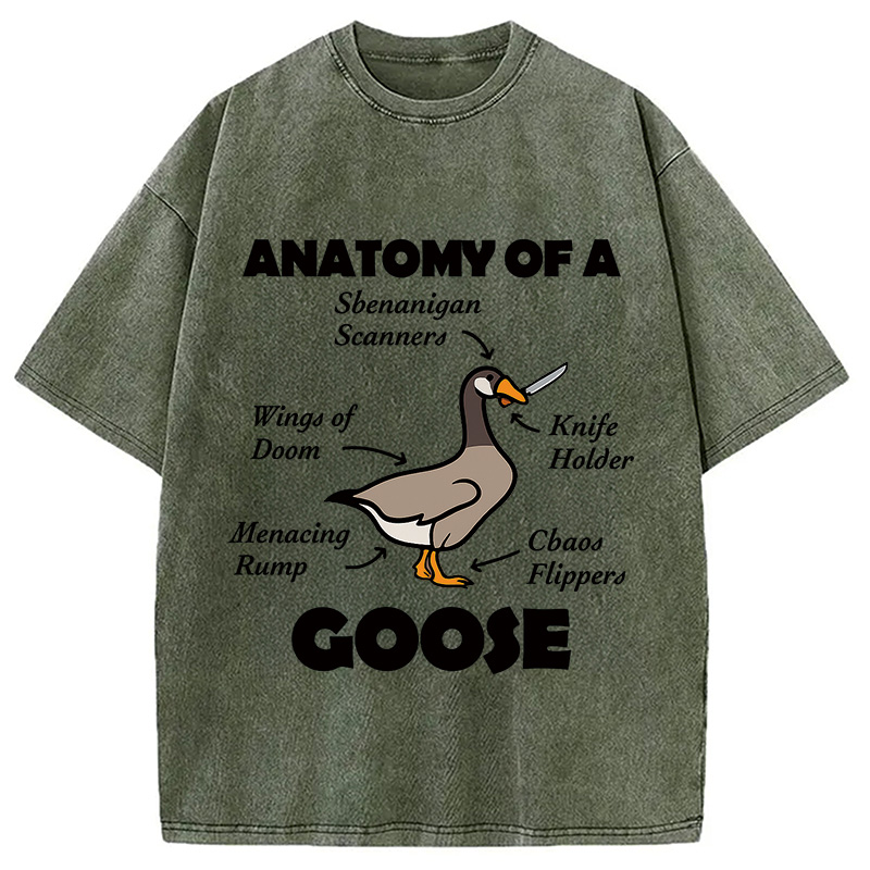 Modecanvas Anatomy of A Goose Washed T-Shirt