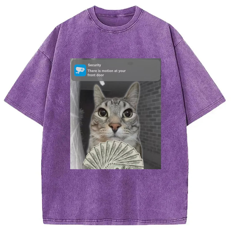 Modecanvas Ring Cat with Motion Meme Washed T-Shirt