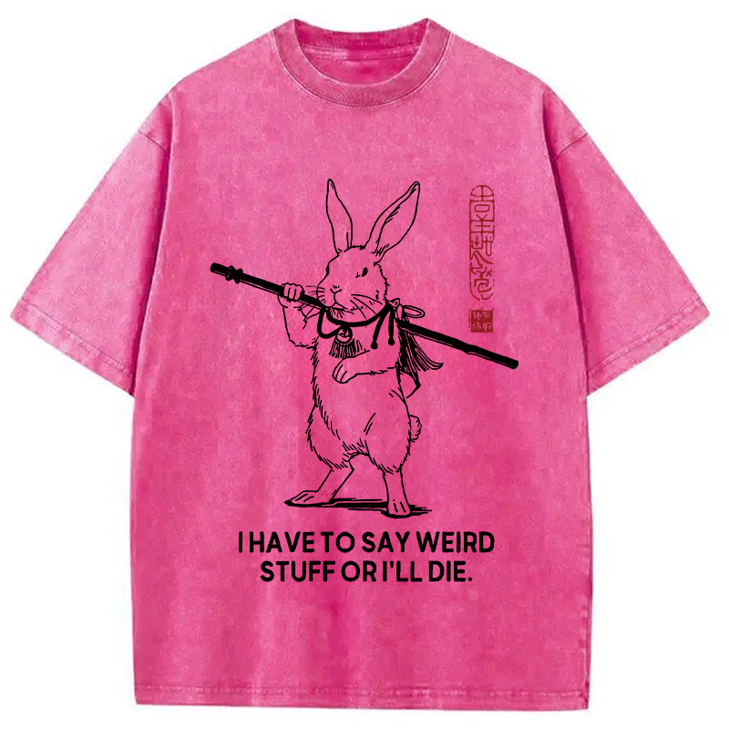 Modecanvas I Have To Say DTG Printing Washed T-Shirt