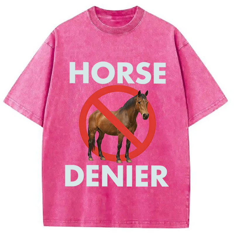 Modecanvas Funny Horse Denier Conspiracy Theory Washed T-Shirt-modecanvas