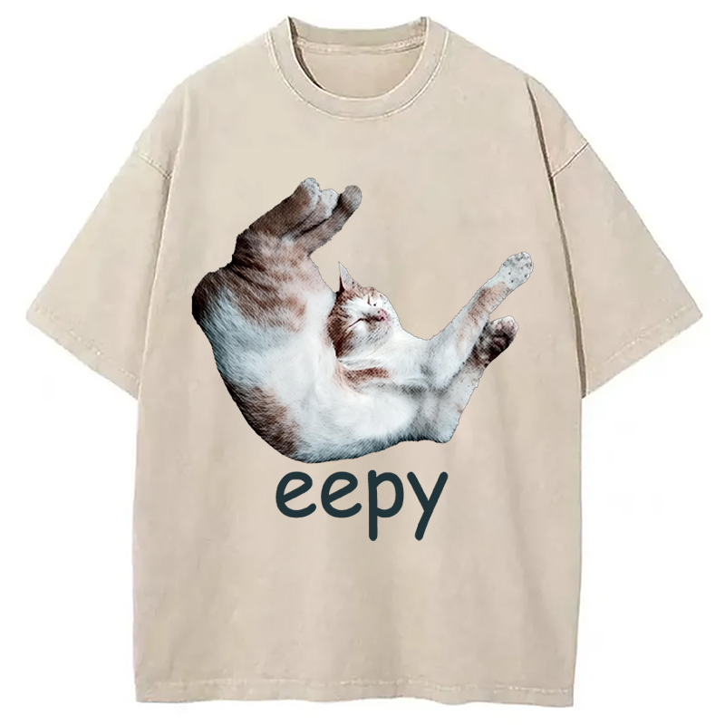 Modecanvas Silly Sleepy Cat Meme DTG Printing Washed T-Shirt