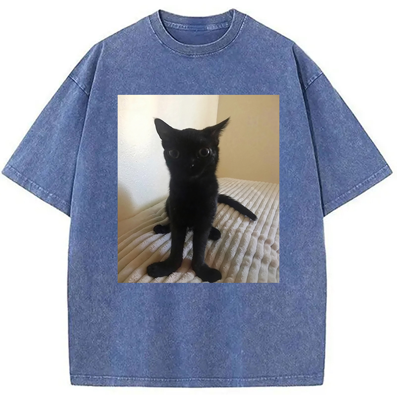 Modecanvas Big Foot Jinx Black Cat Washed T-Shirt