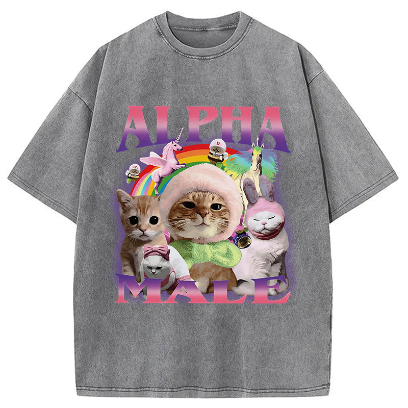 Modecanvas Alpha Male Funny Cat Meme DTG Printing Washed T-Shirt