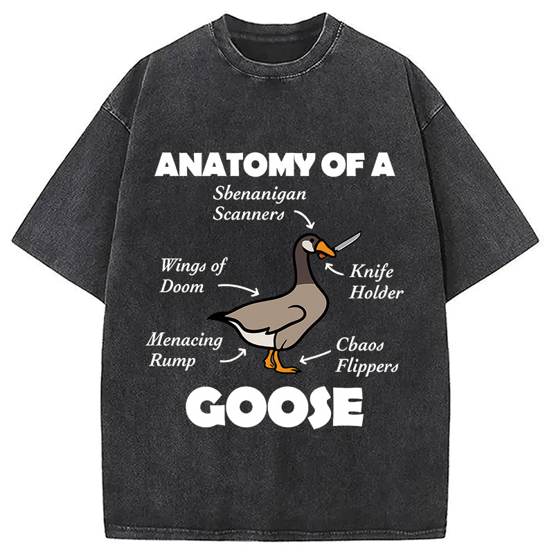 Modecanvas Anatomy of A Goose Washed T-Shirt