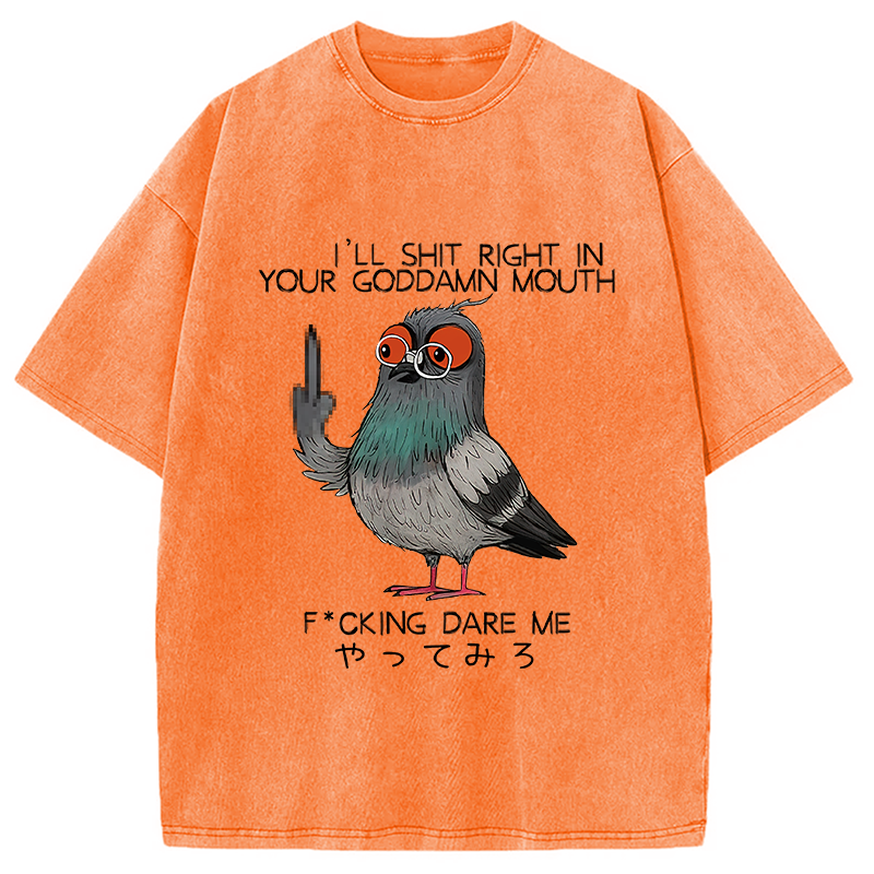 Modecanvas Angry Pigeon Washed T-Shirt