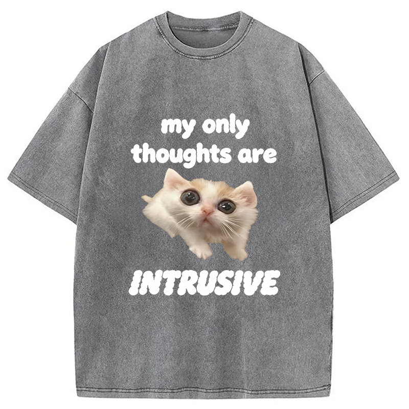 Modecanvas My Thoughts Are Only Intrusive Cat DTG Printing Washed T-Shirt