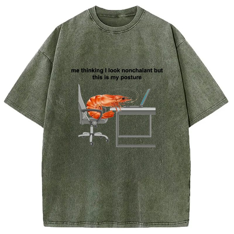 Modecanvas This Is My Posture Washed T-Shirt