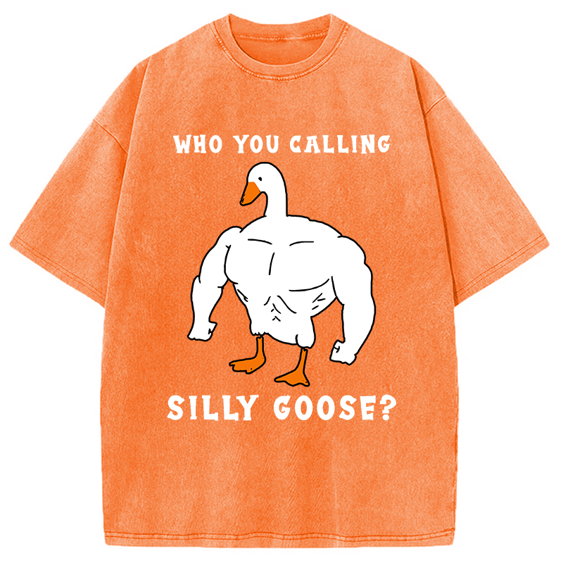 Modecanvas Who You Calling Silly Goose Funny Gym Meme Washed T-Shirt