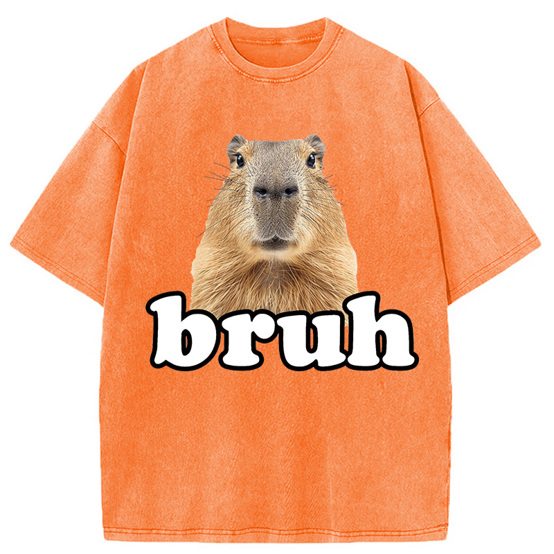 Modecanvas Bruh Capybara Washed T-Shirt